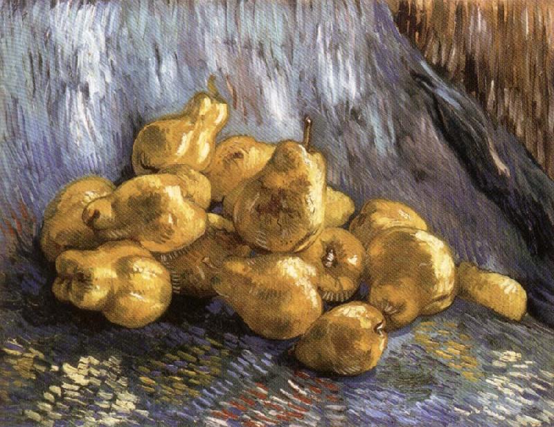 Vincent Van Gogh Still Life with Quinces Spain oil painting art